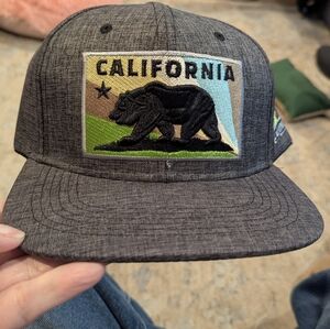 Source Unknown Gray California Bear Hat
